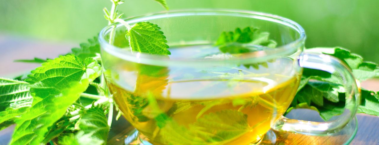 Une tasse en verre avec du thé aux orties