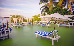 Nikki's Nest - Image 3