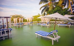 Nikki's Nest - Image 3