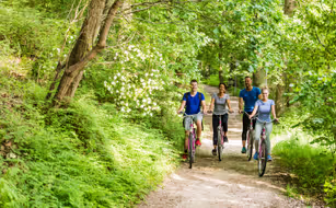 Parkhotel Bad Bevensen - Bild 4