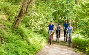 Parkhotel Bad Bevensen - Bild 4