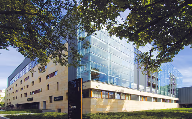 Royal Tulip Sand - Imagen 1