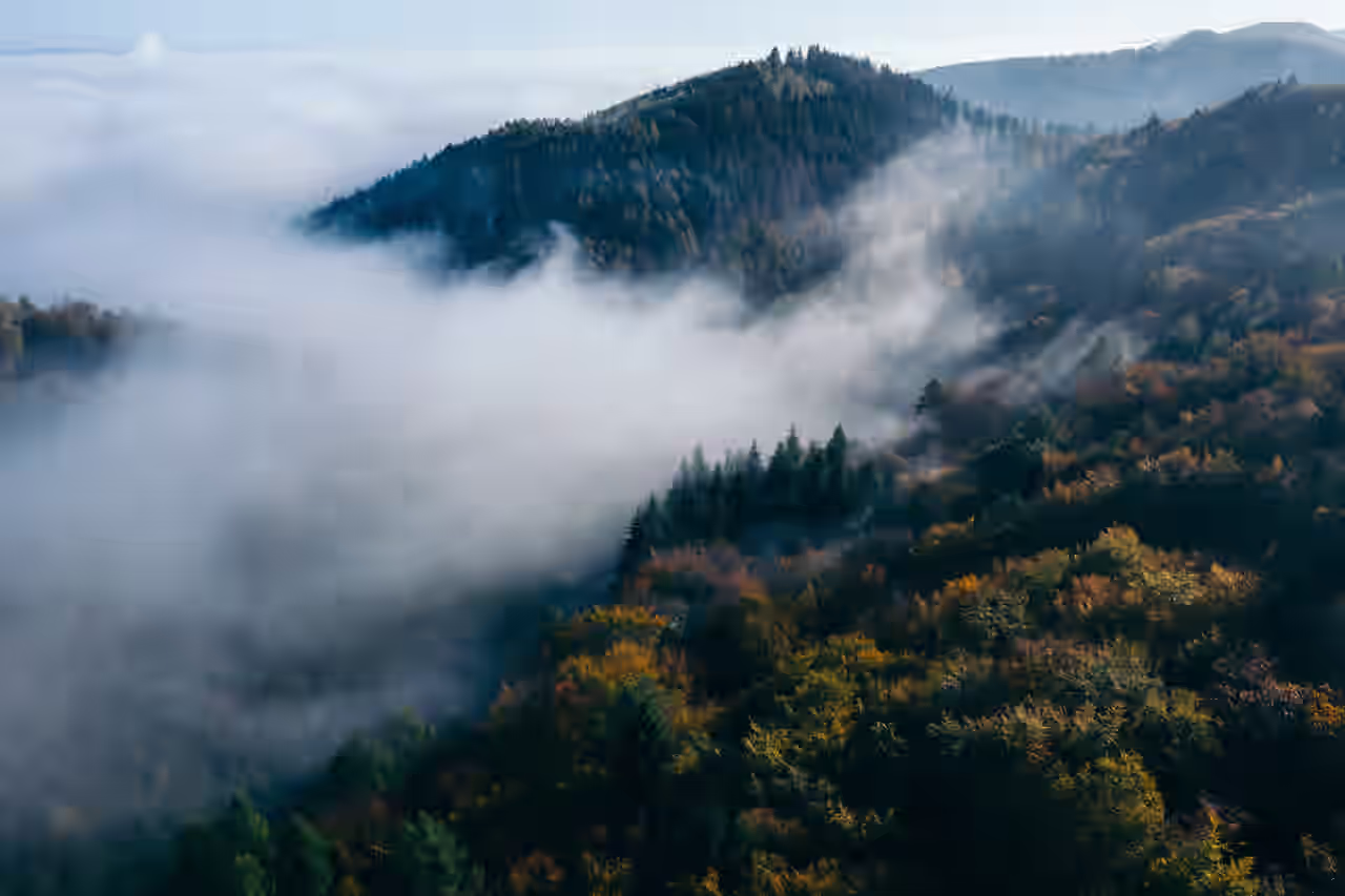 Eine Wolkendecke legt sich über ein bewaldetes Gebirgsgebiet.