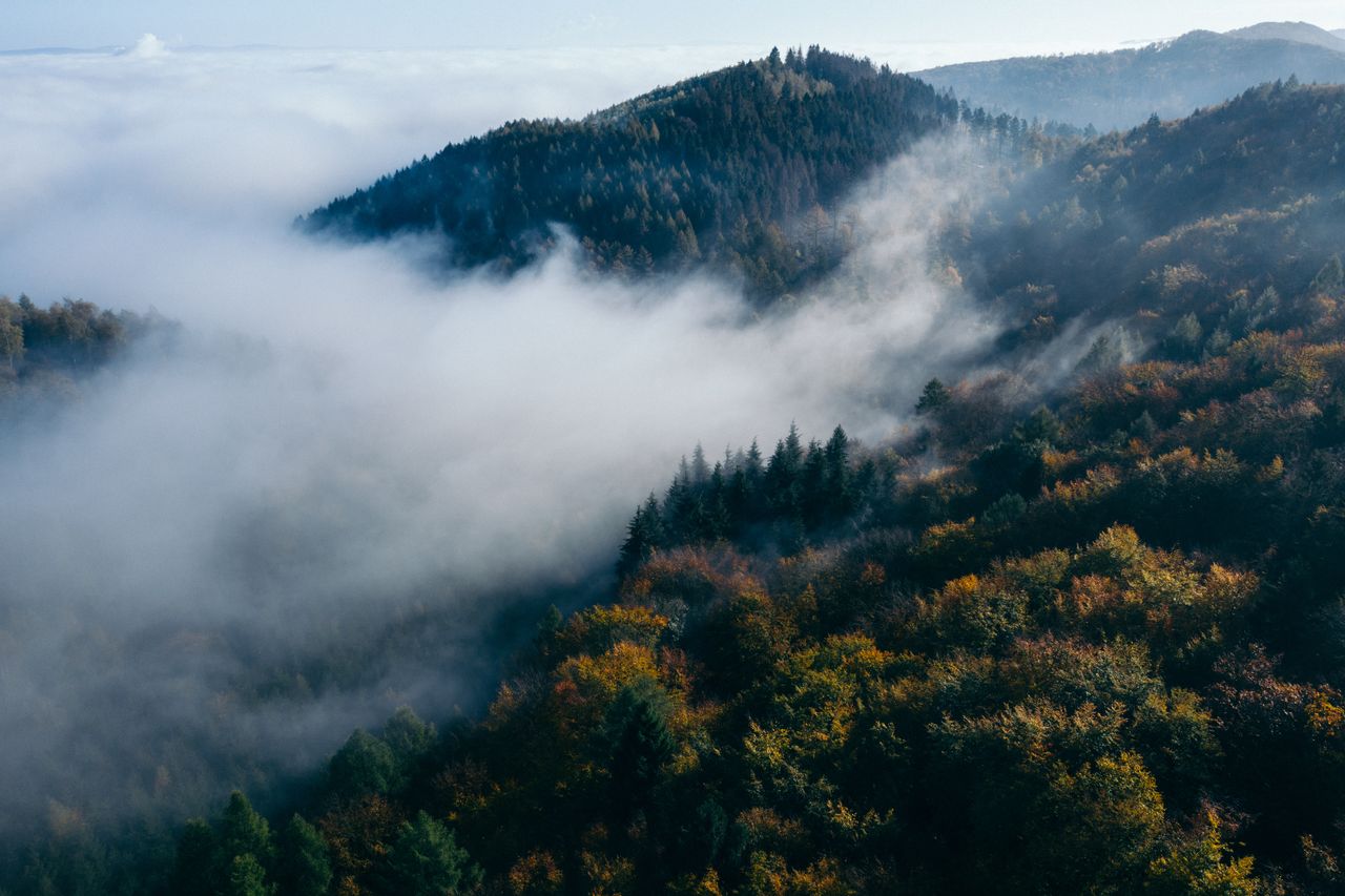 Eine Wolkendecke legt sich über ein bewaldetes Gebirgsgebiet.