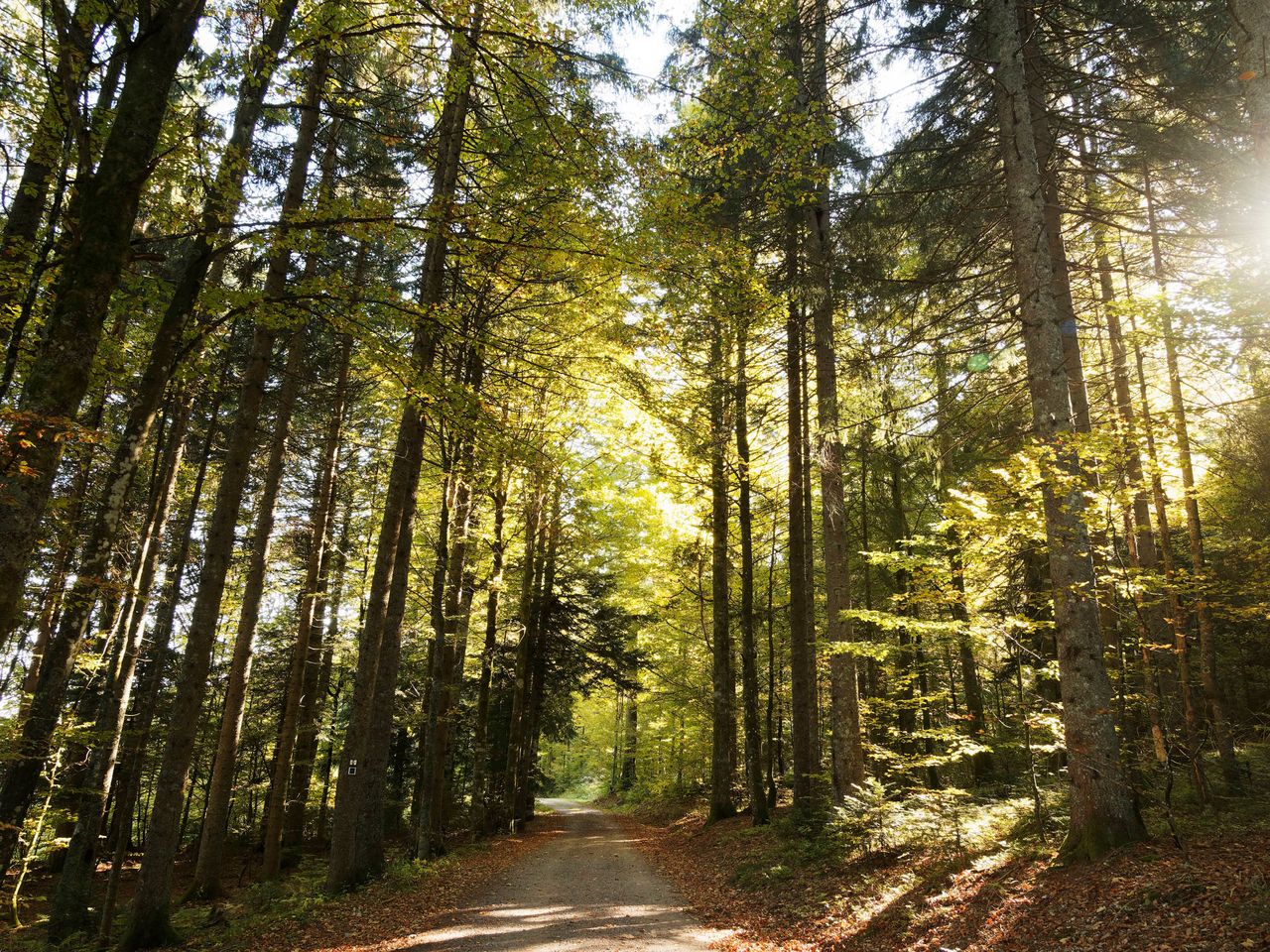 Fasten im Südschwarzwald