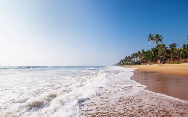 Siddhalepa Ayurveda Health Resort - Image 1