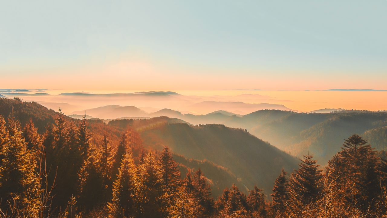 Panorama Blick über den herbstlichen Schwarzwald