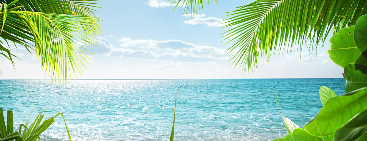Paradiesischer Blick auf das Meer mit Palmen im Vordergrund