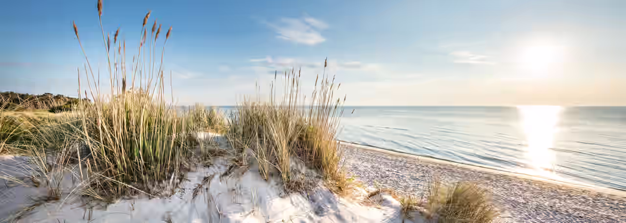 Den Blick auf das Meer mit Dünen im Vordergrund auf Rügen beim Kurztrip erleben