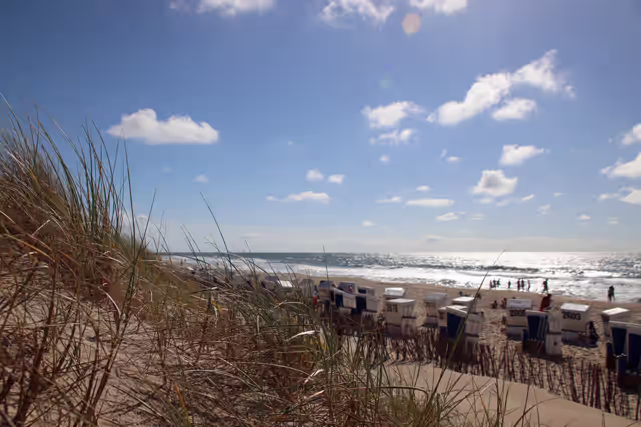 Ayurveda Kur an der Ostsee