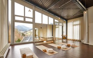 ElzLand Hotel Pfauen - Bild 3