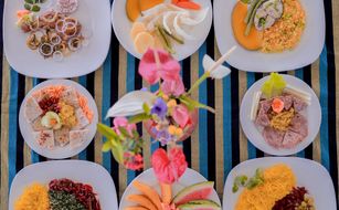 Ayurveda Sarana Beach Hospital - Bild 5