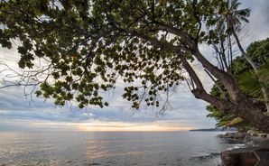 Alam Anda Ocean Front Resort & Spa - Bild 5