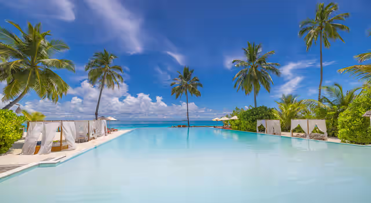 Infinity-Pool mit Palmen und Meerblick