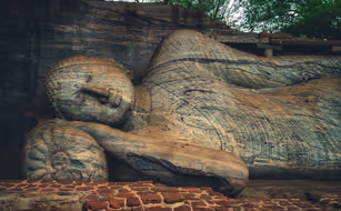 AYU Wellness Rundreisen Sri Lanka  - Image 4