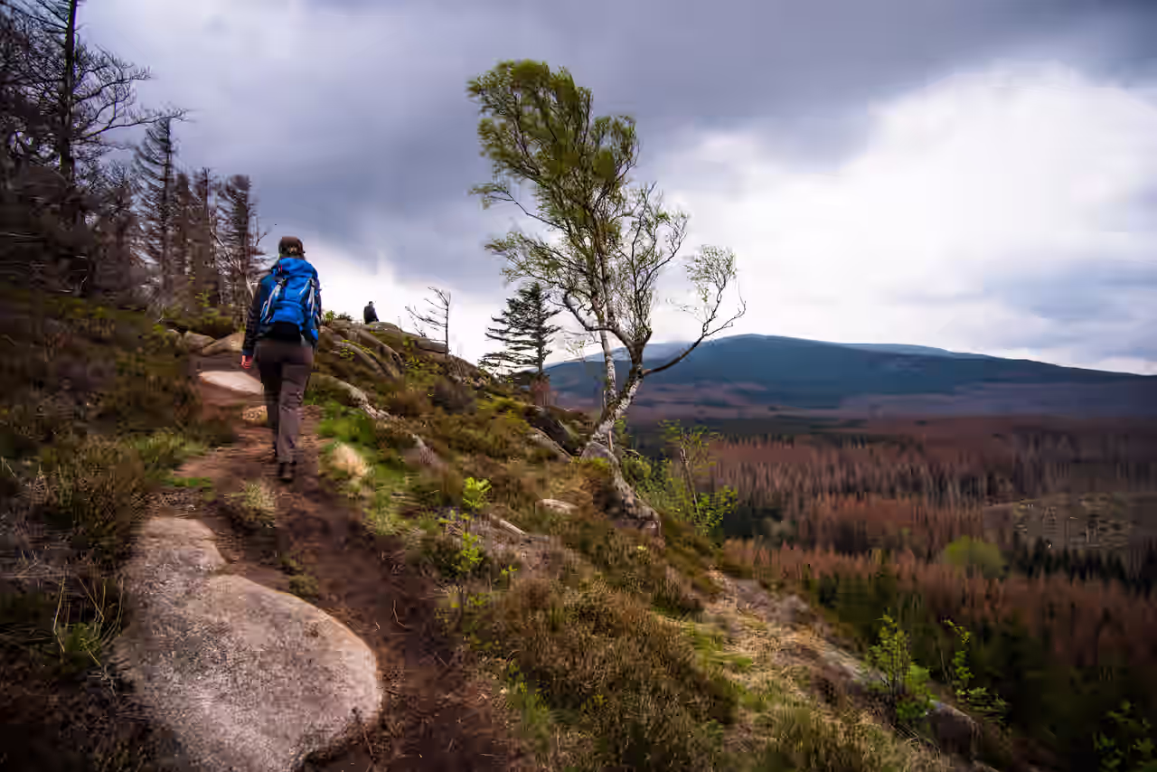 Frau mit Rucksack beim Wandern im Harz