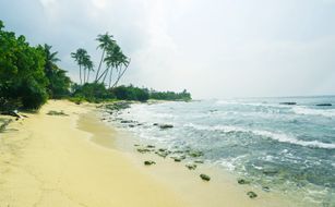 Olu Ayurveda Beach Resort - Bild 3