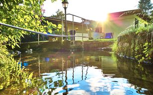 Das Bayerwald - Image 4