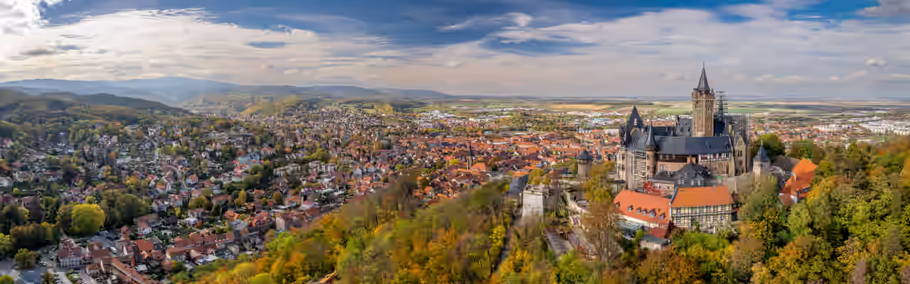Panoramablick über eine Stadt in Sachsen-Anhalt, im Vordergrund eine Burg