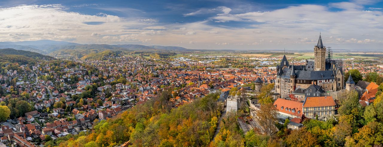 Panoramablick über eine Stadt in Sachsen-Anhalt, im Vordergrund eine Burg