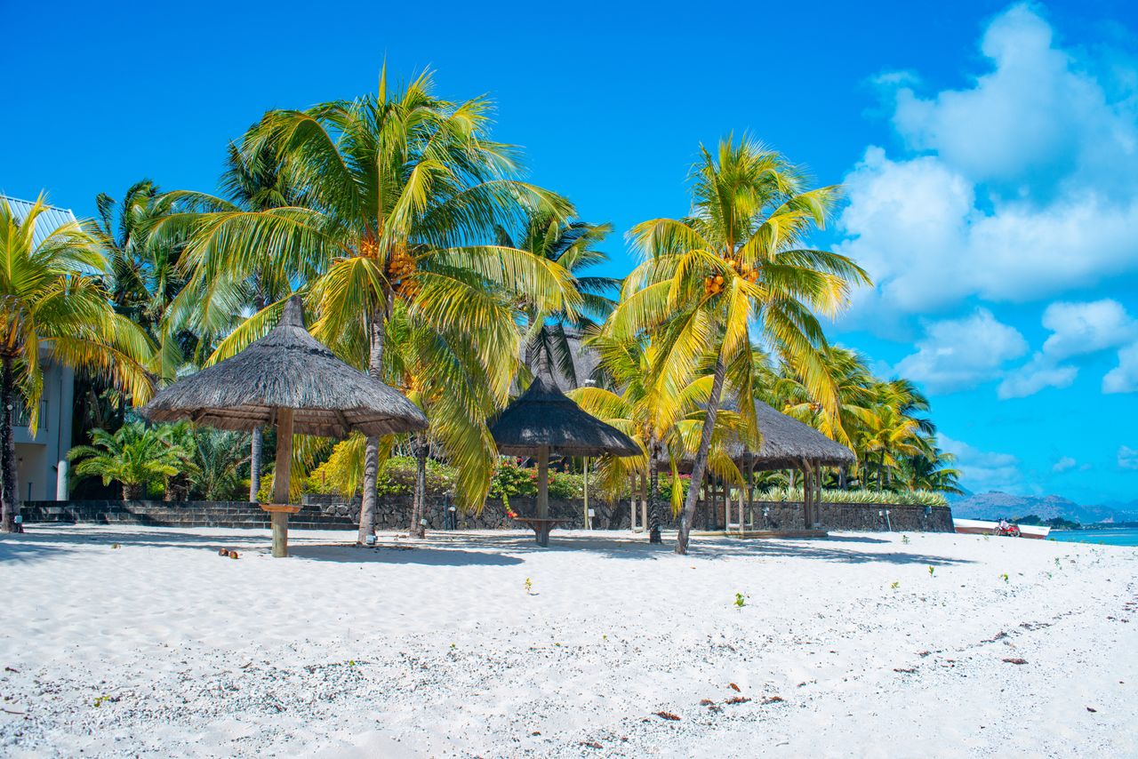 Palmenstrand mit Strohdächern und Liegebereichen an einem tropischen Sandstrand
