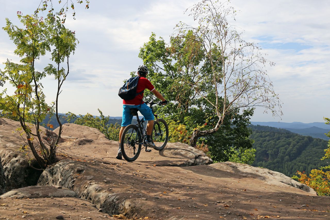 Radfahren in Sachsen-Anhalt