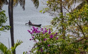 Kalari Rasayana - Bild 4