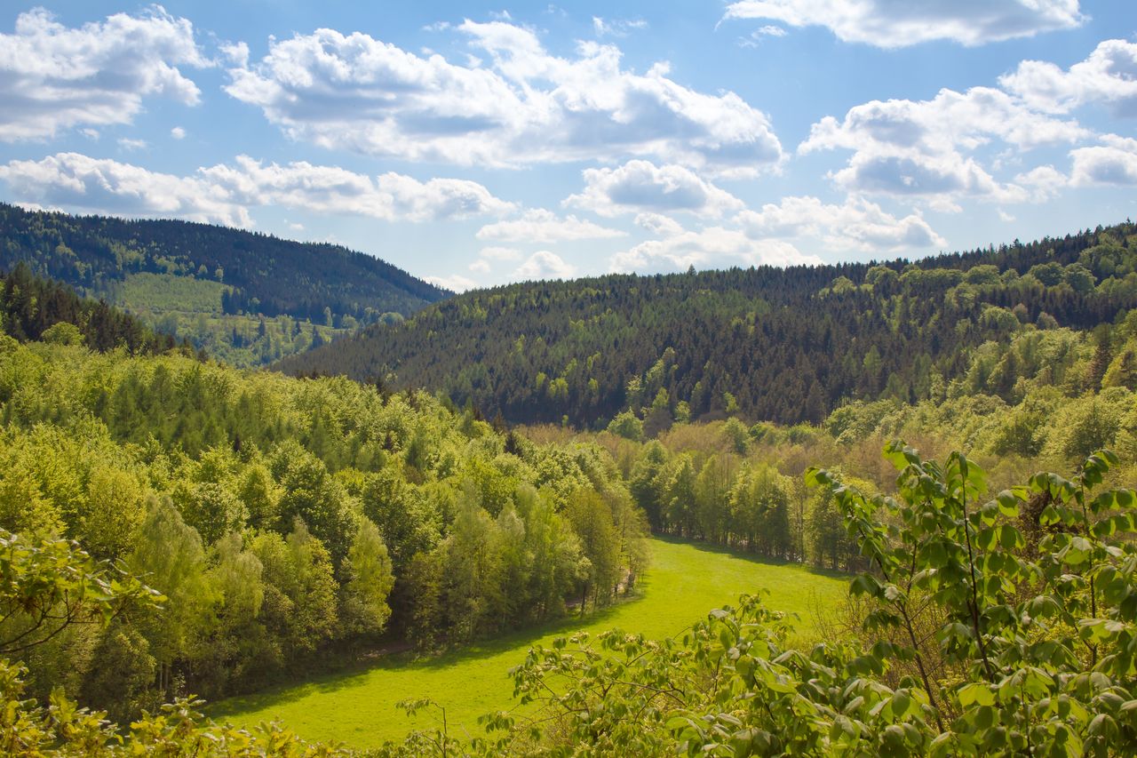 Den Thüringer Wald bei einem Kurzurlaub erleben
