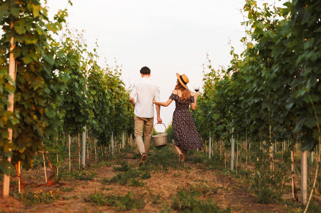 Ein Paar in den Weinbergen bei einem Aufenthalt im romantischen Hotel in Rheinland-Pfalz