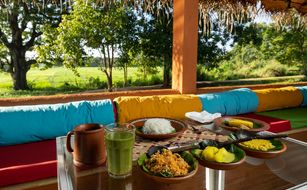 Ayurvie Sigiriya - Immagine 3