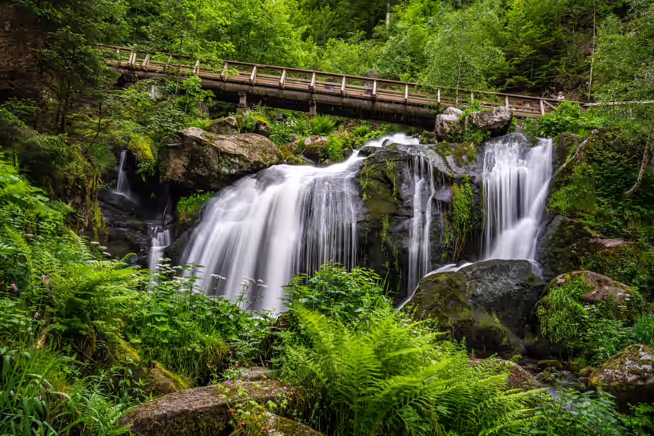 Triberger Wasserfall im Schwarzwald