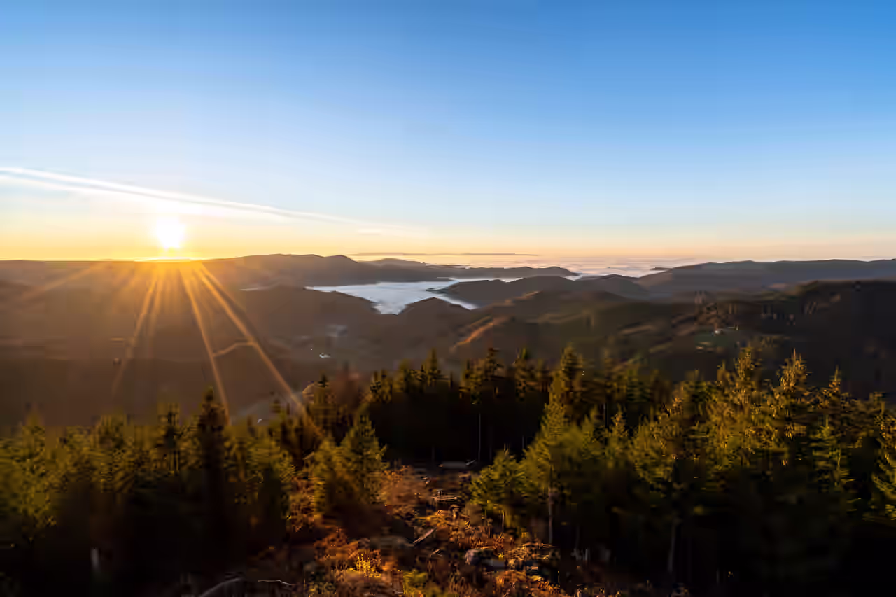 Panoramablick vom Nordschwarzwald