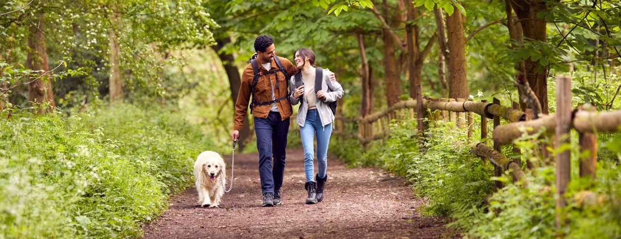 Paar spaziert mit Hund durch den Wald