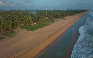 Palmleaves Beach Resort - Bild 2