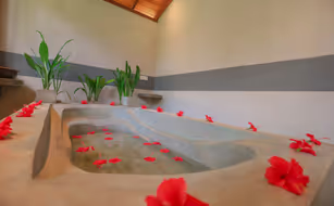 Terrace Garden Tropical Ayurveda Resort - Bild 4