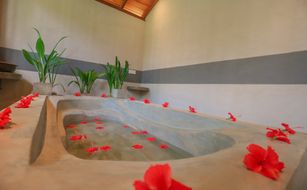 Terrace Garden Tropical Ayurveda Resort - Imagen 4