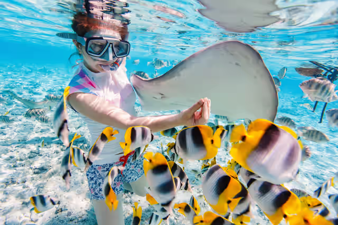 Frau, die zwischen Fischen schnorchelt