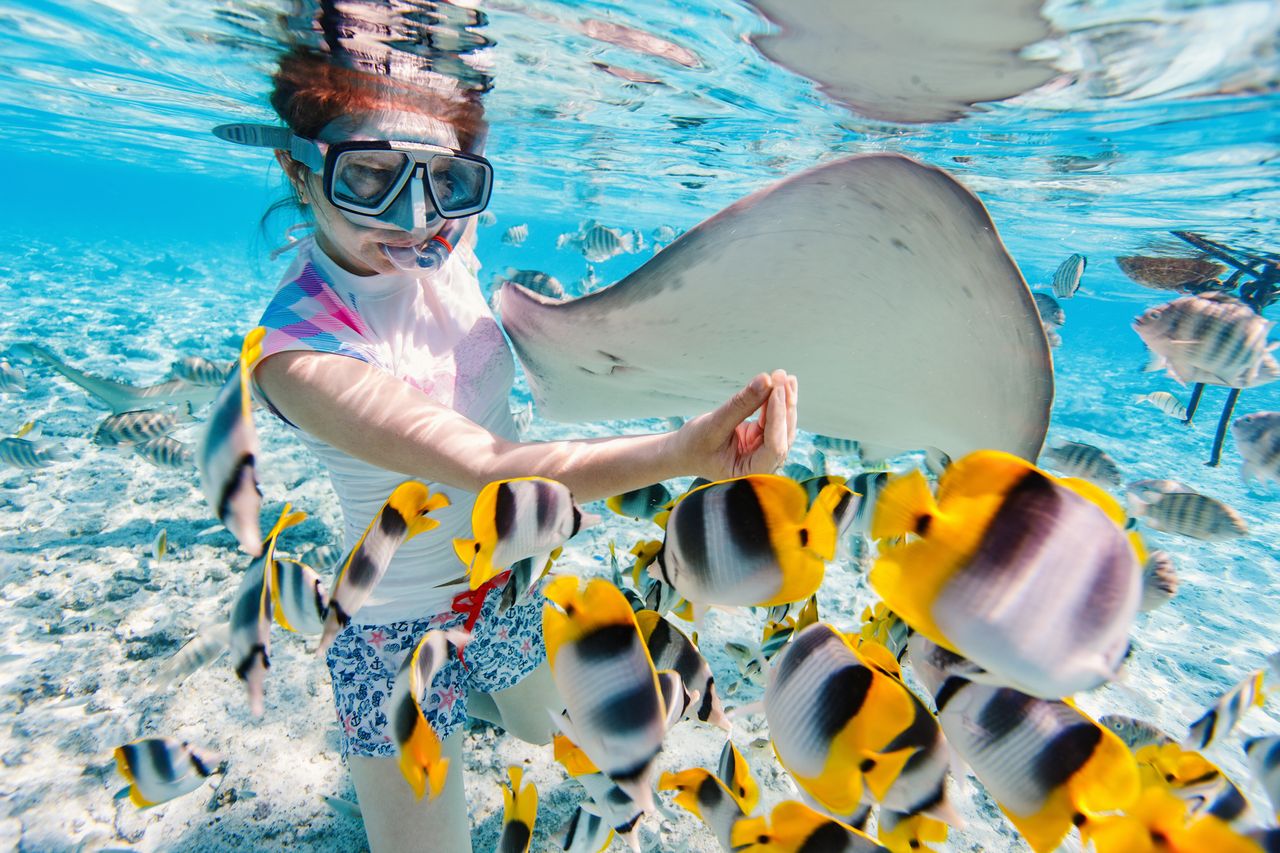 Frau, die zwischen Fischen schnorchelt