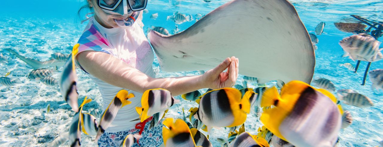 Frau, die zwischen Fischen schnorchelt