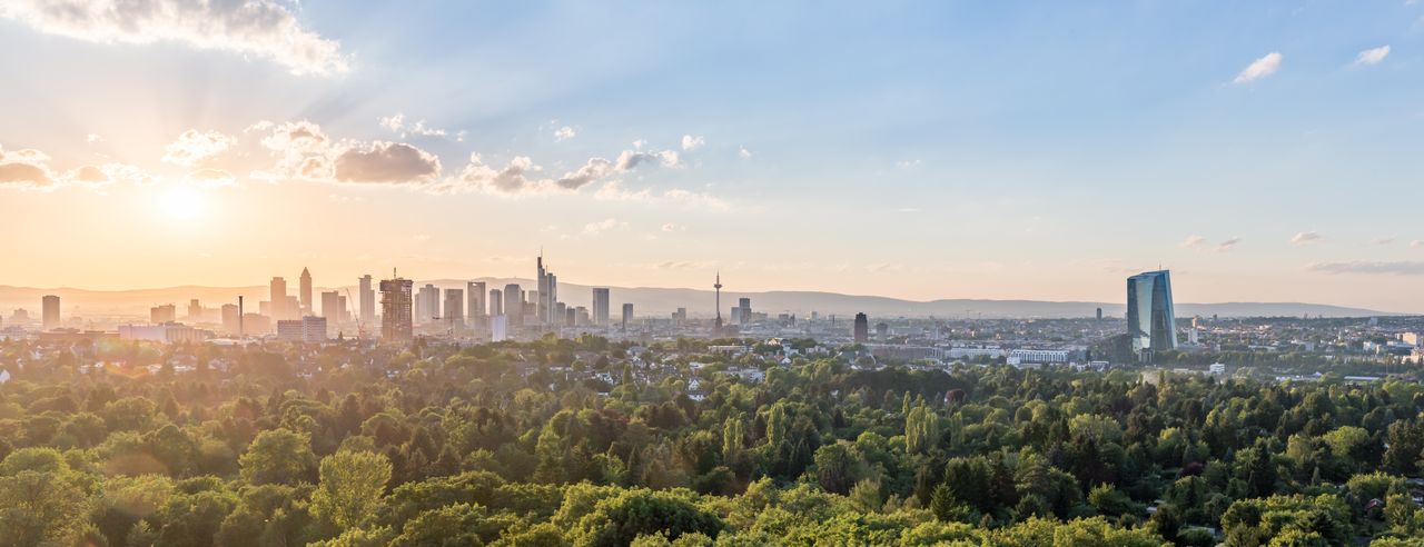 Skyline von Frankfurt und den umliegenden Hügeln und Wäldern in Hessen