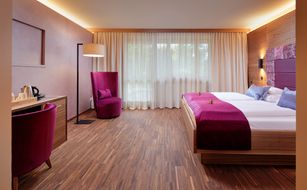 Ayurveda Resort Mandira - Image 5