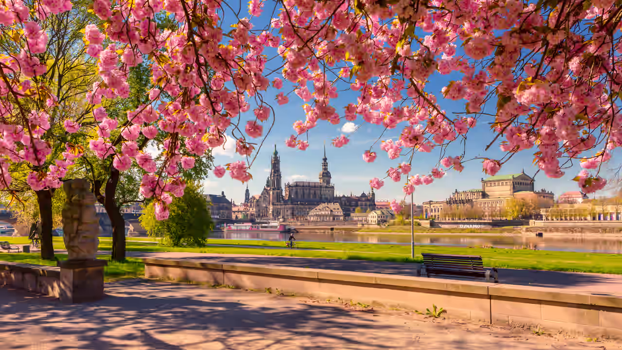 Dresden erstrahlt im Frühling