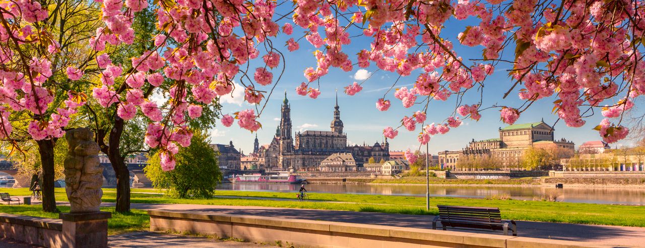 Dresden erstrahlt im Frühling