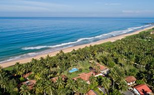 Lotus Villa - Image 3