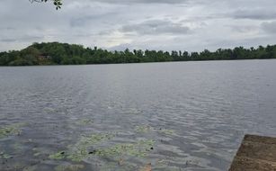 Samaya Waters - Image 5