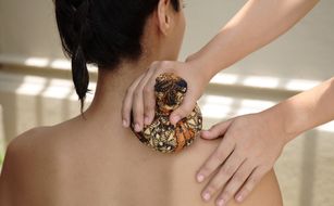 Tanjong Jara Resort - Immagine 2