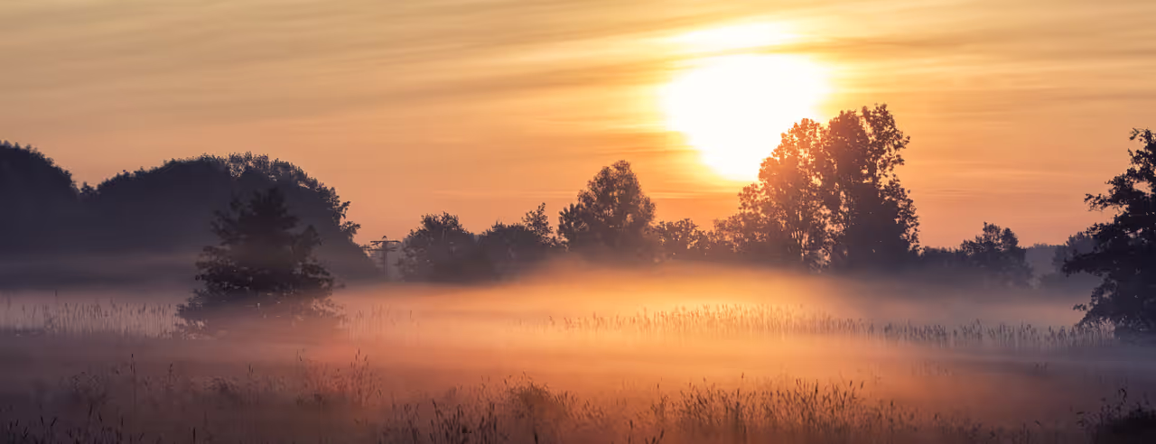 Sonnenaufgang über Feld