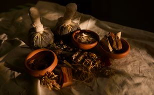 Soul Wellness and Ayurveda Resort - Bild 5