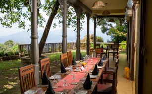 Yasmin Hill Longevity Oasis - Bild 4