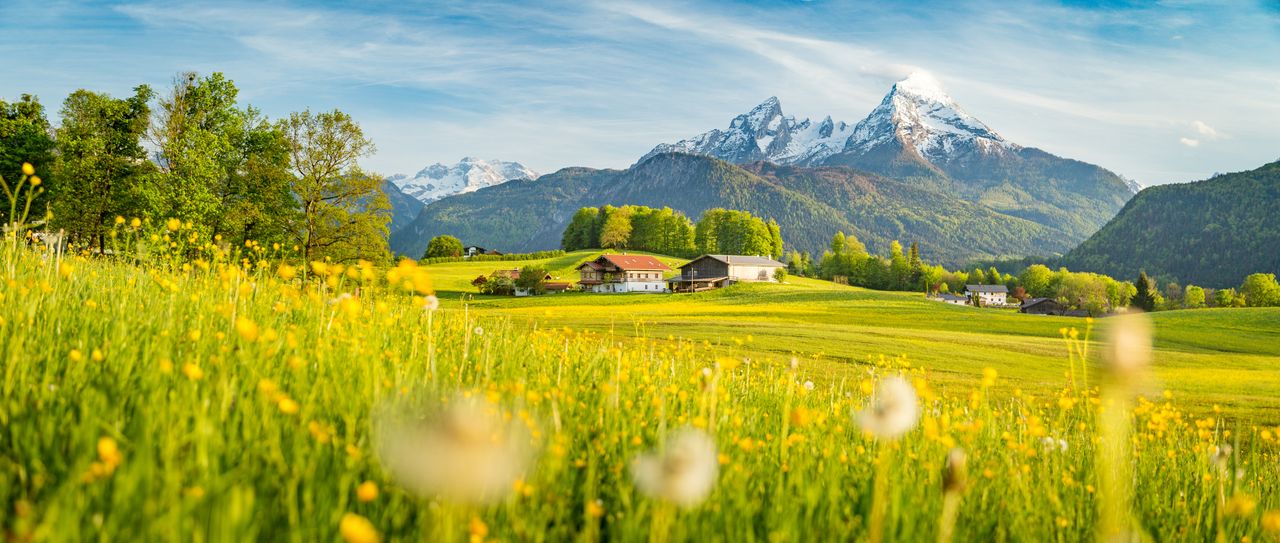 Ein Hotel inmitten schneebedeckter Wälder und Berge